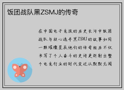 饭团战队黑ZSMJ的传奇
